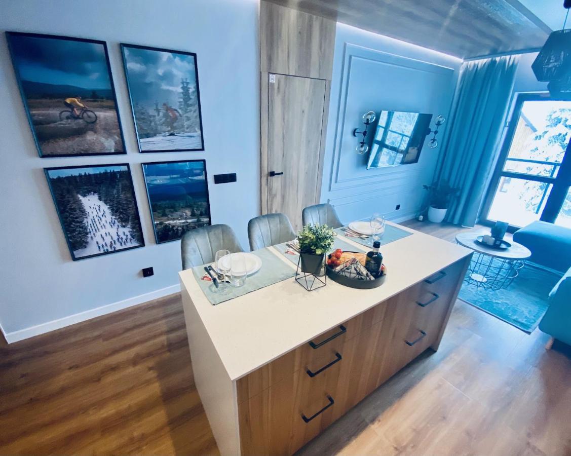 Apartament N&B 스클라르스카포렘바 외부 사진